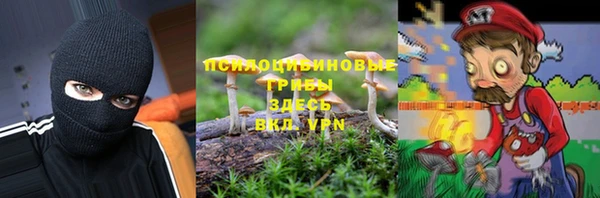 твердый Ладушкин