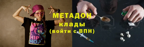 прущие грибы Березники