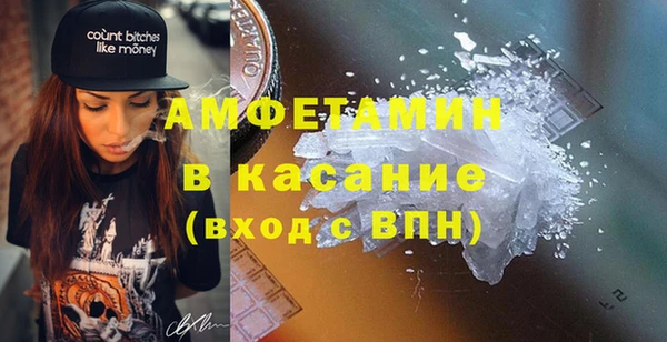 индика Лабытнанги