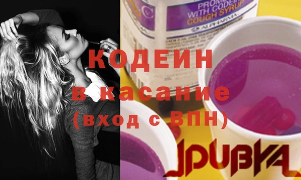 индика Лабытнанги