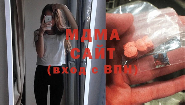 индика Лабытнанги