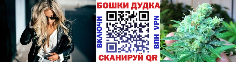 Бошки Шишки Amnesia  кракен вход  Ильский 